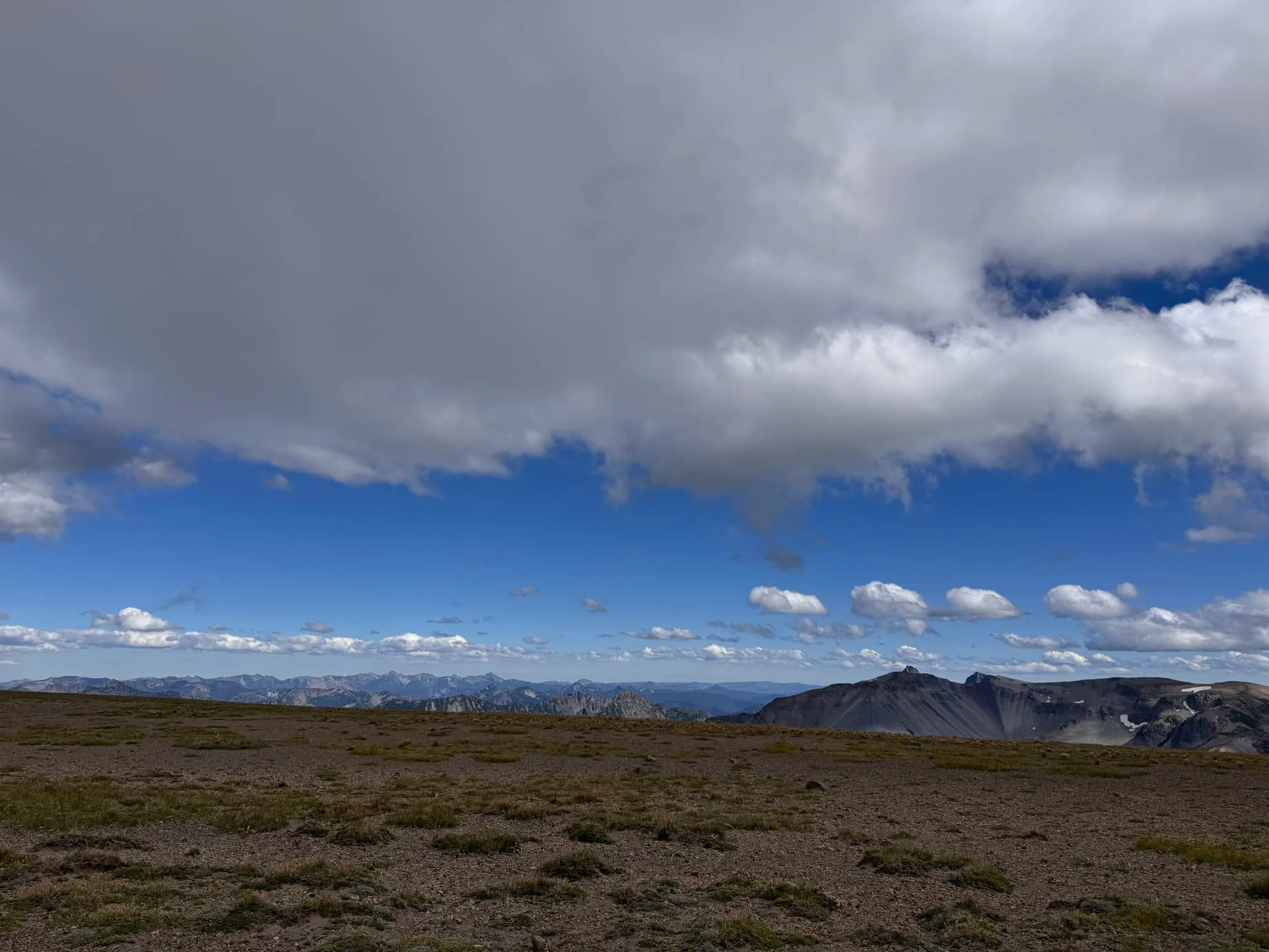 Mossy terrain above the tree line