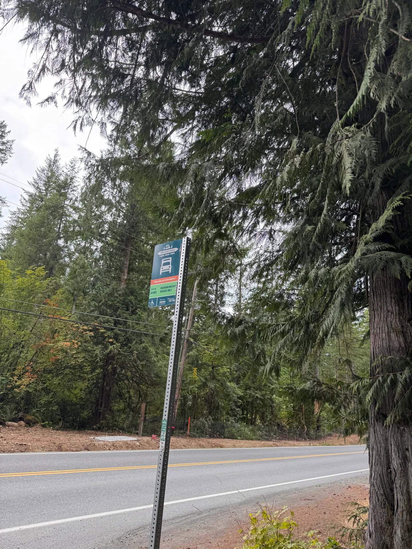 Bus stop at the trailhead