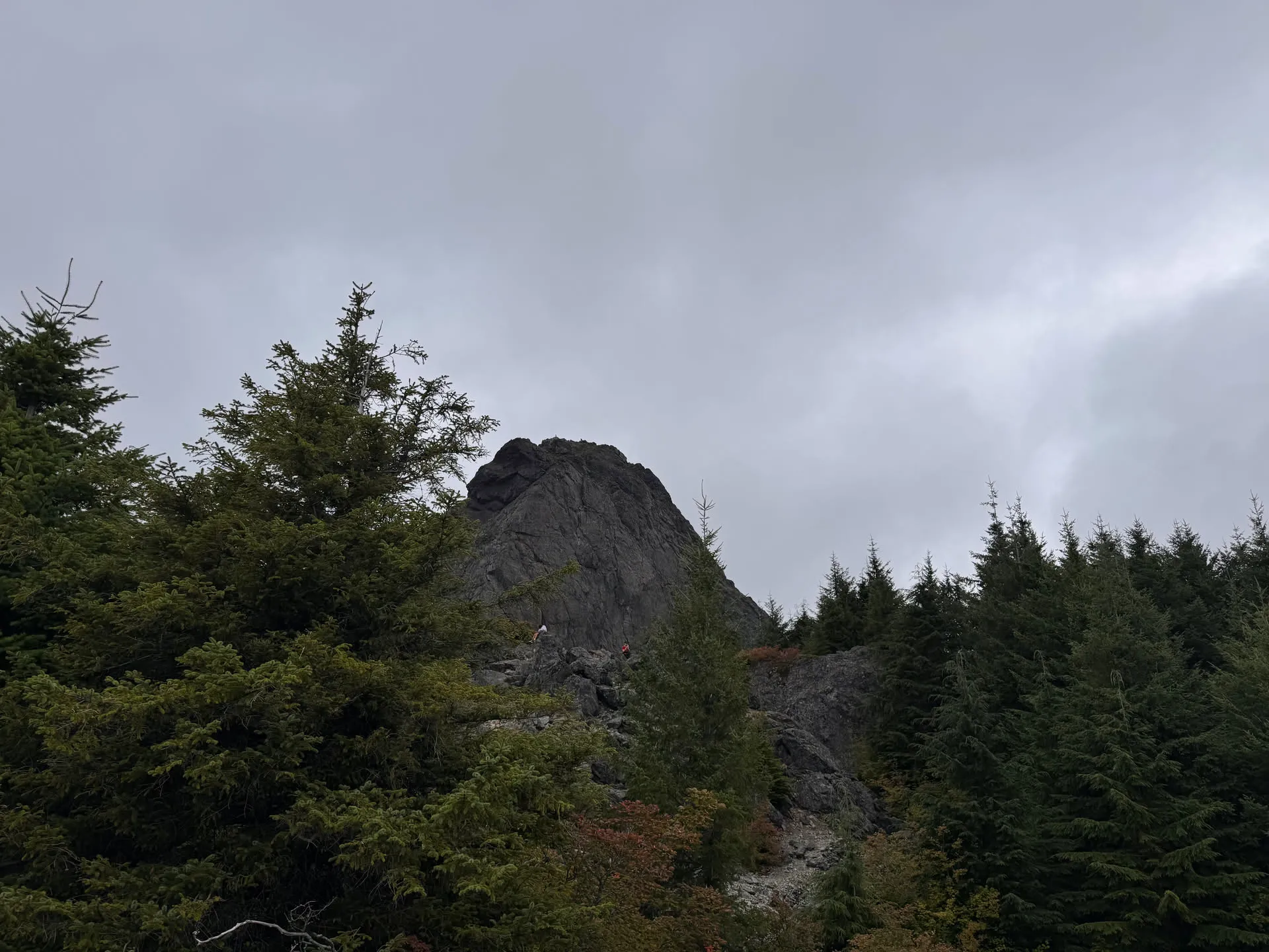 Actual Mt. Si summit
