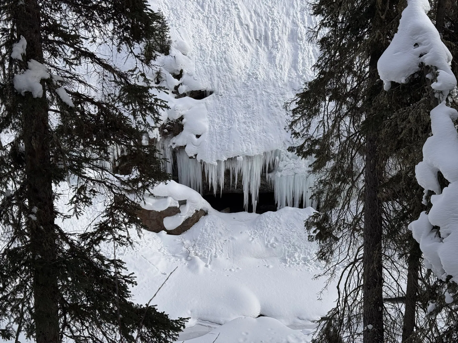Icicles!