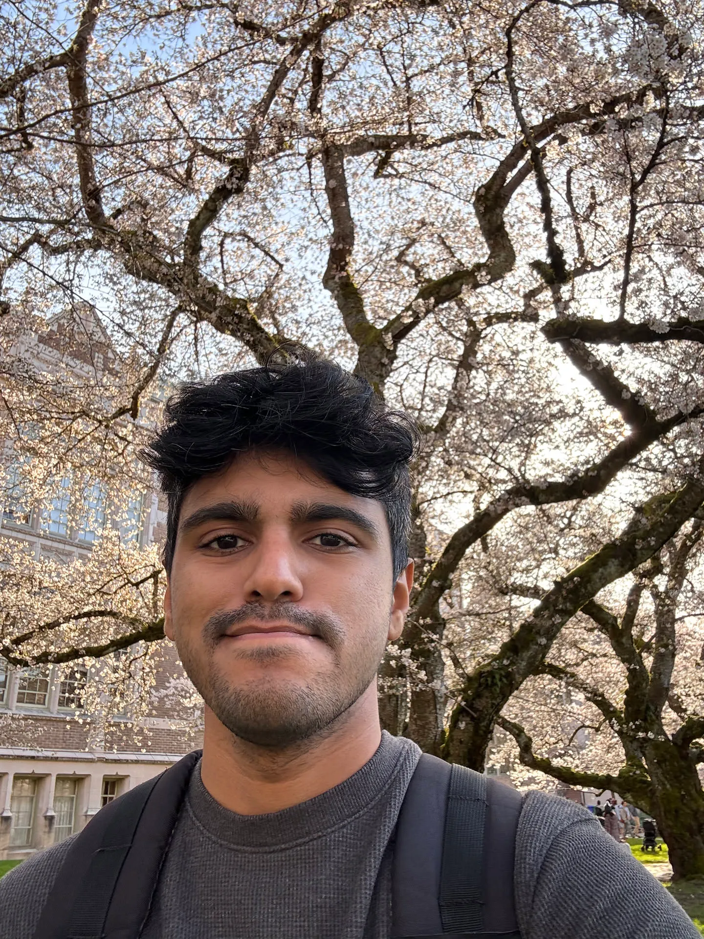 Sharan