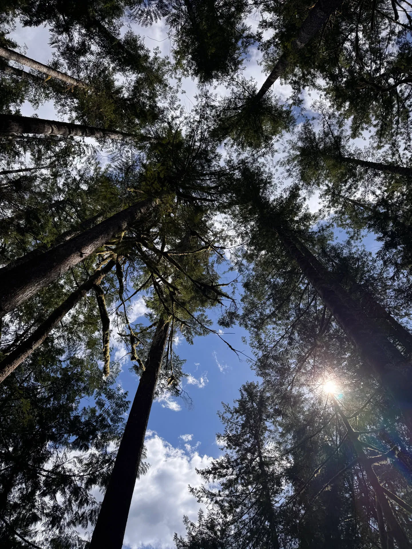 Clear skies!