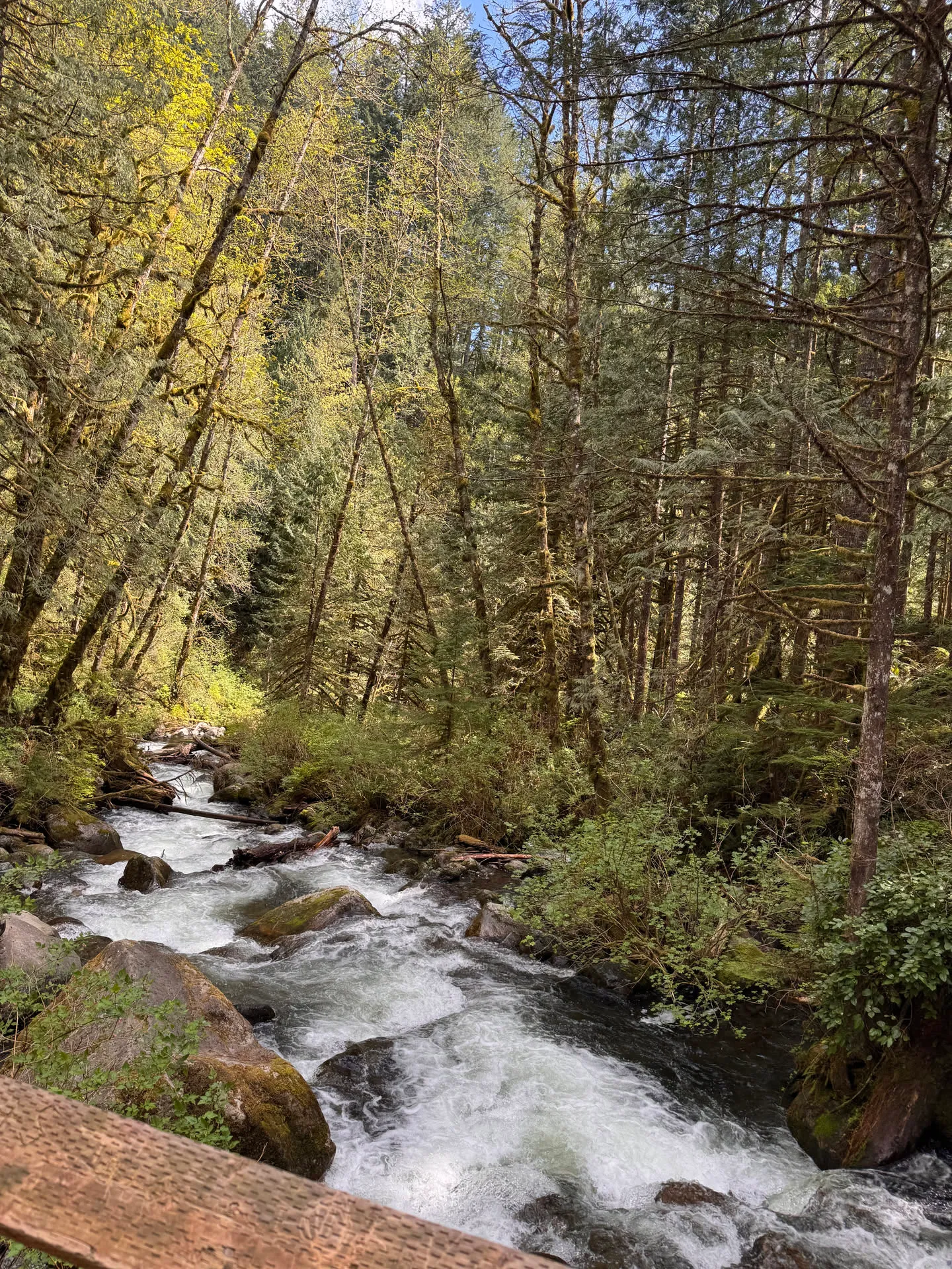 Views of Wallace River along the hike