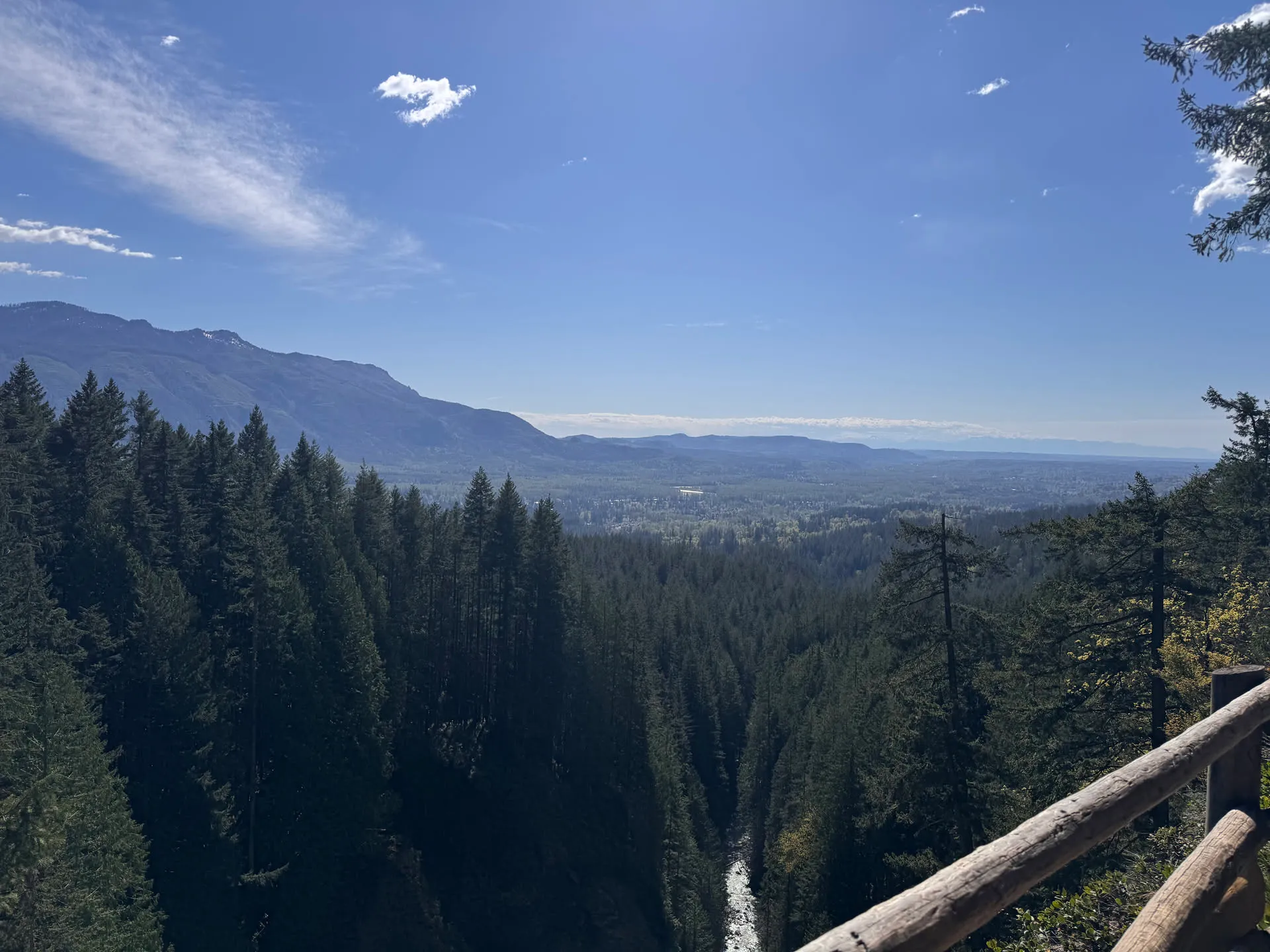 Views of a clearing in the forest from the Middle Falls viewpoint