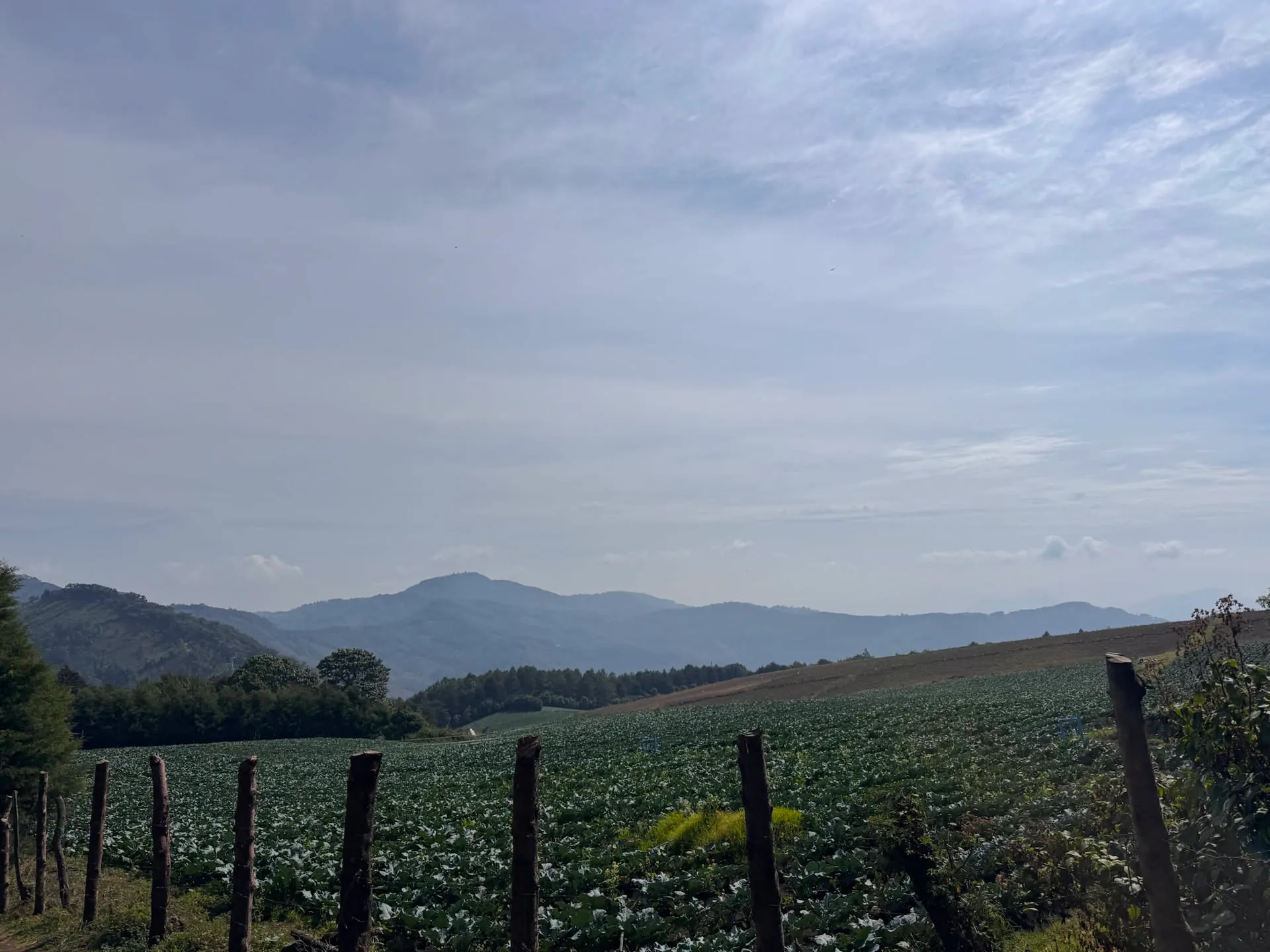Views of the Guatemalan countryside from our breakfast spot